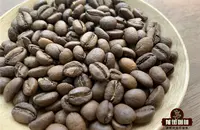 也门摩卡咖啡是阿拉比卡品种吗?为什么也门的咖啡这么贵?味道怎样