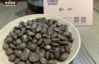 世界上已最古老的咖啡消费国埃塞俄比亚 Sidamo 咖啡风味特点描述