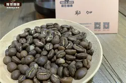 浓缩咖啡豆都是用深烘焙的吗 咖啡豆的颜色可以判断烘焙的程度吗