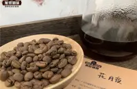 罗布斯塔咖啡品种的越南咖啡风味特点 越南咖啡多少钱一斤