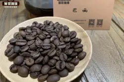 最便宜的咖啡豆是什么 罗布斯塔品种的咖啡比阿拉比卡的苦吗? 