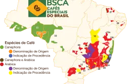 巴西喜拉多产区咖啡风味口感特点描述 巴西红波旁咖啡豆故事特点