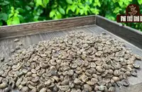 低因咖啡豆有什么优缺点 低因咖啡好喝吗 低因咖啡豆介绍
