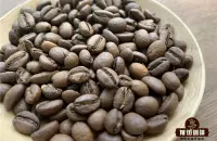 萨尔瓦多精品咖啡豆帕卡斯和帕卡马拉的产区海拔风味特点介绍