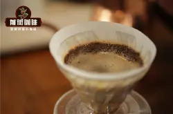 萨尔瓦多阿拉比卡品种卡图艾咖啡帕卡马拉咖啡的风味特点描述