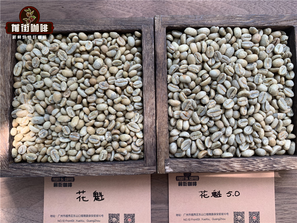 日晒处理法的西达摩花魁咖啡豆G1到5.0的风味特点描述和介绍