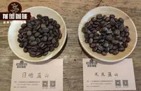 蓝山风味是什么咖啡豆 蓝山风味咖啡与蓝山咖啡☐感区别 