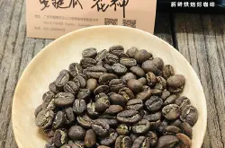 危地马拉咖啡豆(SHB)是最高等级吗 高海拔的咖啡风味更加好喝吗