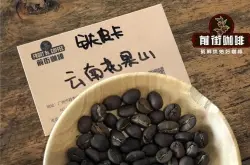 云南宝山庐江坝咖啡种植条件和阿拉比卡品种咖啡风味特点介绍