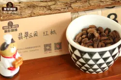 世界上最好的瑰夏咖啡豆(Geisha艺妓咖啡)产于哪里 瑰夏特点口感介绍