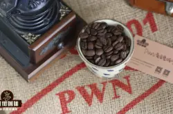 PWN黄金曼特宁咖啡豆产地在哪里风味口感描述 前街印尼黄金曼特宁咖啡豆价格如何？