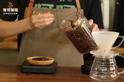 巴西咖啡豆的特点口感 巴西咖啡的品种种类等级产区风味介绍