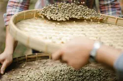 哥伦比亚咖啡豆的品种风味口感特点介绍和等级分级制度
