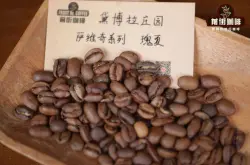 巴拿马德博拉庄园介绍 黛博拉瑰夏咖啡豆品种风味特点描述