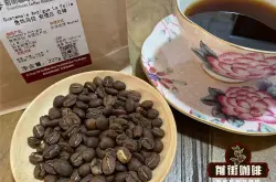 危地马拉圣费丽莎庄园咖啡风味介绍 瑰夏豆橙蜜处理咖啡的口感特点