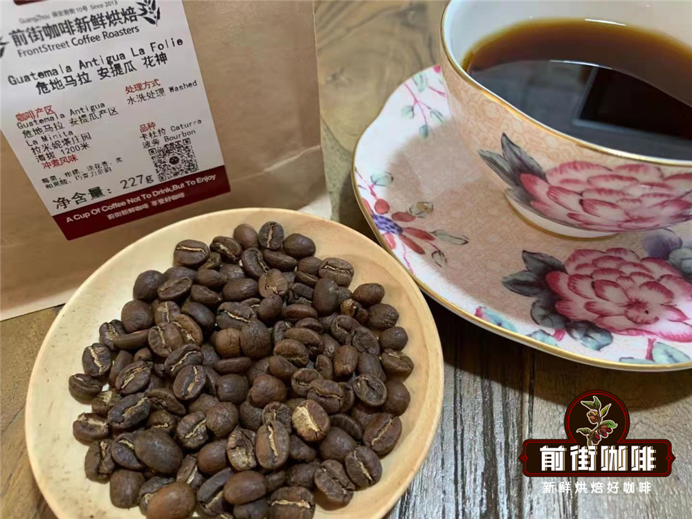 美洲危地马拉精品咖啡豆 哈拉帕产区瑰夏咖啡豆品种风味描述