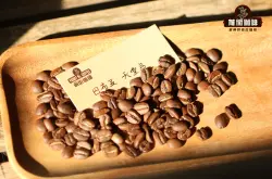 巴布新几内亚咖啡产区介绍 天堂鸟咖啡豆特点风味口感