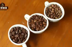 为什么浅烘咖啡豆味道是酸的？蓝山与瑰夏咖啡豆风味口感的区别