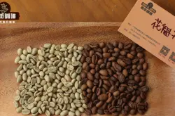 西达摩咖啡豆口感风味介绍 新产季花魁7.0咖啡豆好喝吗？