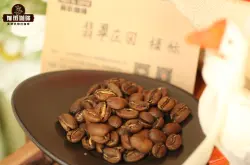 瑰夏咖啡豆品种产区特点 巴拿马瑰夏庄园精品咖啡口感风味描述