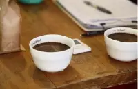微研磨现磨咖啡的风味口感与速溶咖啡的区别有多大 哪种咖啡更好喝