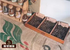 常见品种阿拉比卡和罗布斯塔咖啡豆产地用途口感特色区别