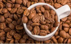 中美洲危地马拉咖啡豆品种产区种植环境风味介绍