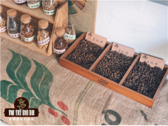 非洲优质的单品豆 非洲精品咖啡豆的产地种植环境风味特色介绍