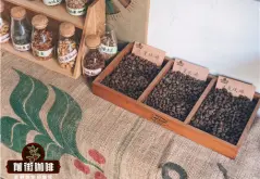 非洲优质的单品豆 非洲精品咖啡豆的产地种植环境风味特色介绍