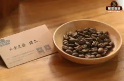 哥伦比亚天堂庄园厌氧水洗咖啡豆风味口感特点与冲煮参数介绍