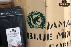 牙买加蓝山咖啡豆怎么做咖啡好喝？怎样用手冲方法直接泡煮蓝山咖啡豆？