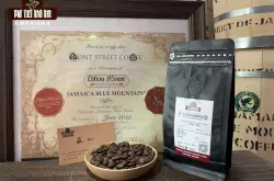 蓝山咖啡豆的原产地介绍 克利夫顿蓝山一号咖啡的档次价格特点