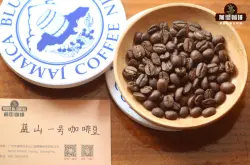 牙买加蓝山一号咖啡豆全球著名精品咖啡介绍 蓝山咖啡豆的特点好处是什么