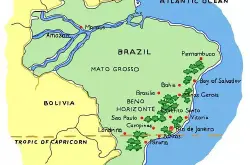 世界精品巴西喜拉多产区咖啡豆品种类分类等级特点详情介绍