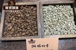 云南小粒咖啡豆怎么冲泡手冲方法介绍 云南铁皮卡咖啡的风味口感特点