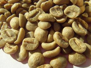 精品咖啡生豆储存方法 咖啡生豆最新介绍