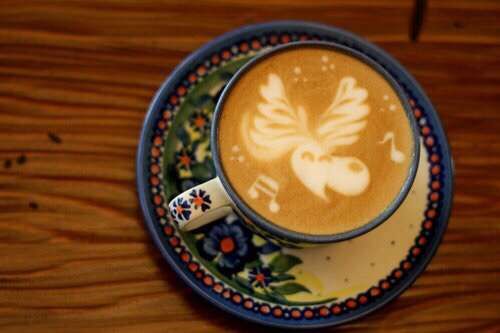 在日本福冈，和猛禽猫头鹰一起喝咖啡卖萌