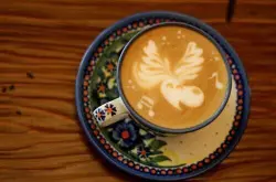 在日本福冈，和猛禽猫头鹰一起喝咖啡卖萌