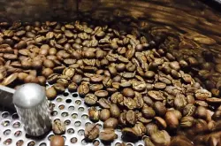 新鲜咖啡豆的杀手-新烘焙的豆子在哪些条件影响下会使风味流失？