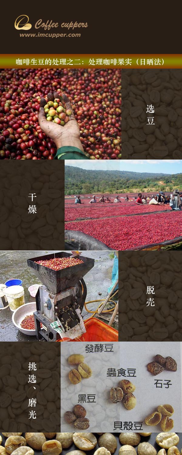 咖啡生豆的处理：处理咖啡果实（日晒法）