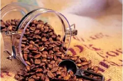 精品咖啡豆-哥伦比亚特级咖啡的详细介绍