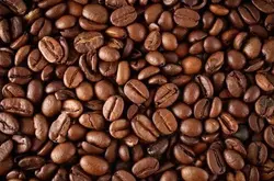 美国特种咖啡协会生咖啡豆介绍说明