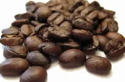 精品咖啡豆：巴西巧克拉咖啡 (Brazil Chocola) 的详情介绍