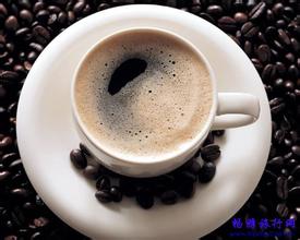 精品咖啡 麝香猫咖啡 风味独特的咖啡