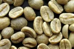 精品咖啡豆：哥伦比亚 妙玲珑 Narino Columbia 的介绍