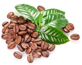 咖啡豆子的品种繁多 如何成为一颗精品的咖啡豆？