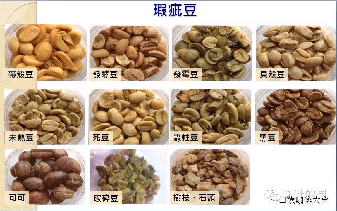 教你如何正确的辨别生豆好坏的简便方法？