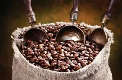 精品咖啡豆：简析也门咖啡其他种类 了解咖啡产区