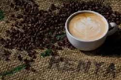 肯尼亚AA咖啡 让咖啡迷充满期待与惊喜