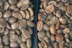 精品咖啡豆：好咖啡豆应该具备的四大标准